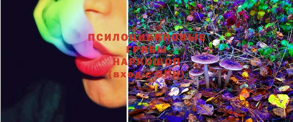ECSTASY Надым