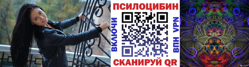 MEGA как войти  Яровое  Псилоцибиновые грибы Psilocybe 